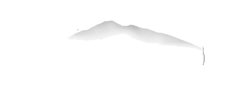 the book forest logo 3